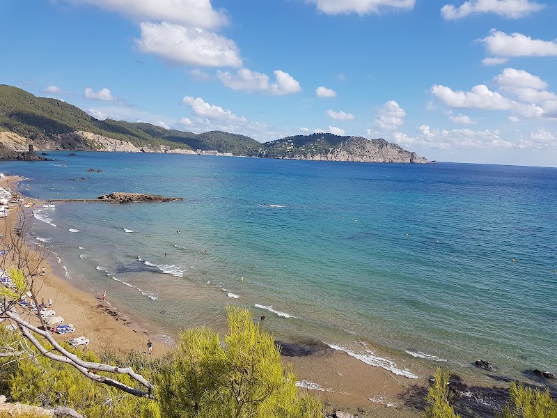 Invisa Hotel Club Cala Verde photo 9