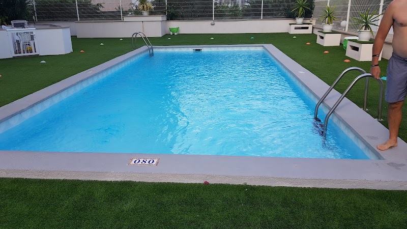 Marina Palmanova Apartmentos photo 3