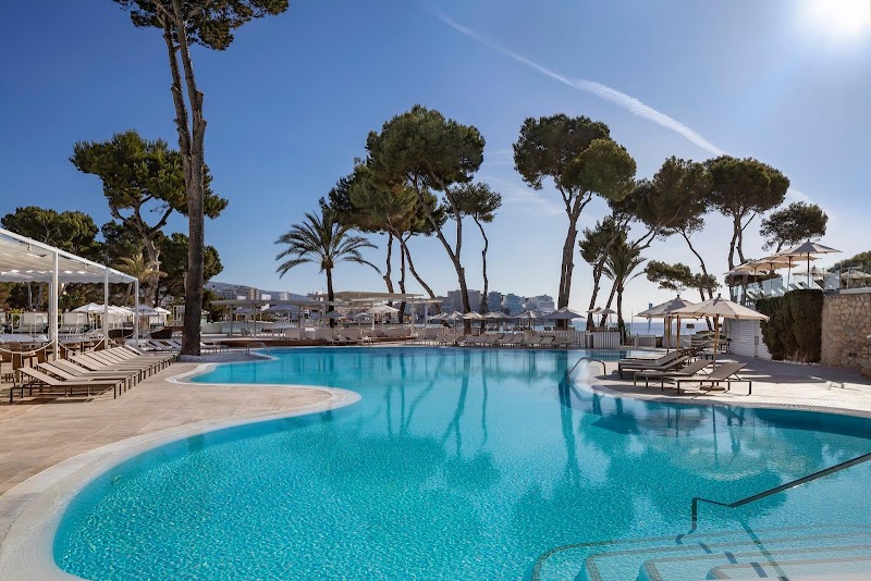 Melia Calvia Beach photo 3