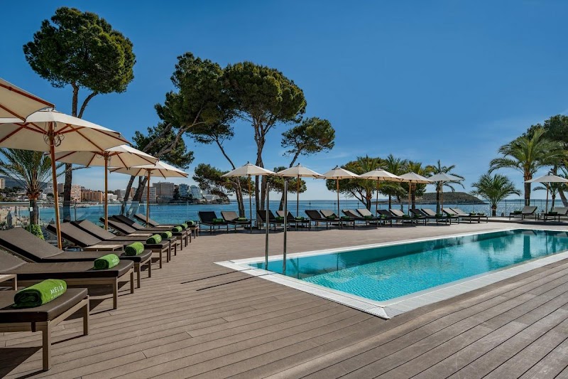 Melia Calvia Beach photo 8