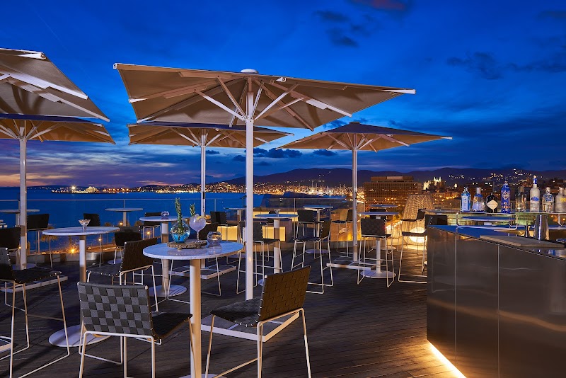 Melia Palma Bay photo 8
