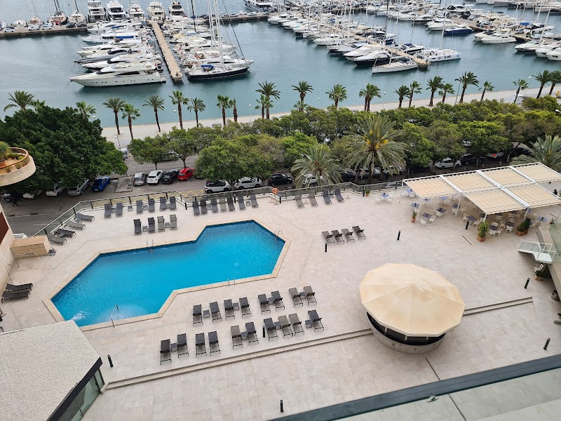 Melia Palma Marina photo 3