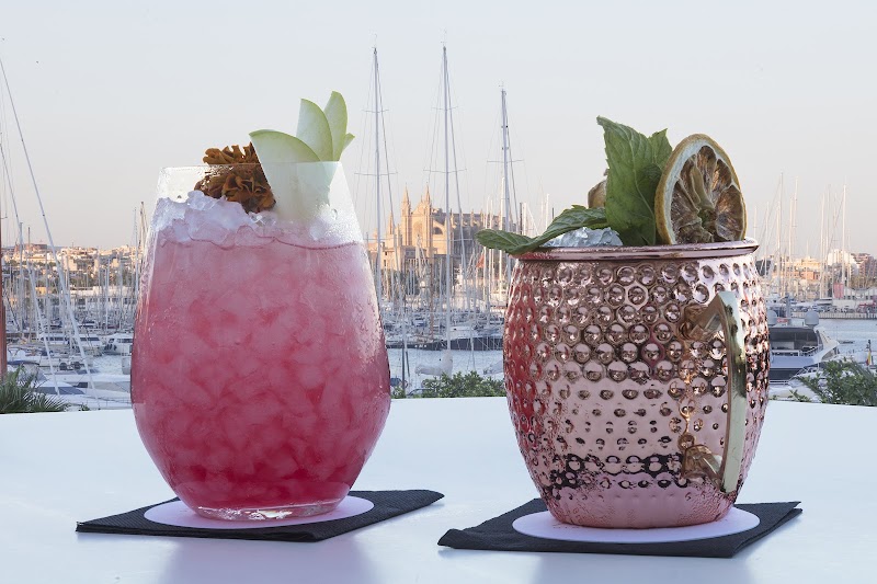 Melia Palma Marina photo 6