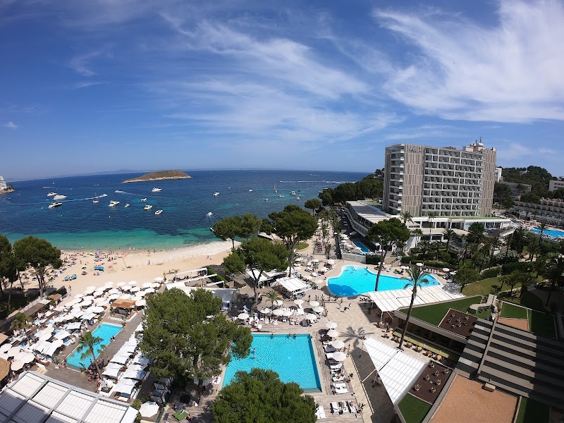 Melia South Beach photo 6
