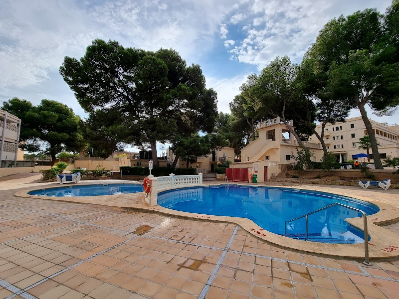 MLL Palma Bay Club Resort photo 3