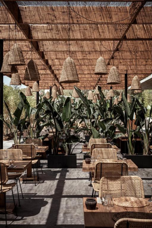 Oku Ibiza photo 7