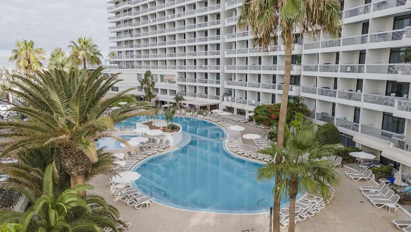 Palm Beach Excel photo 9