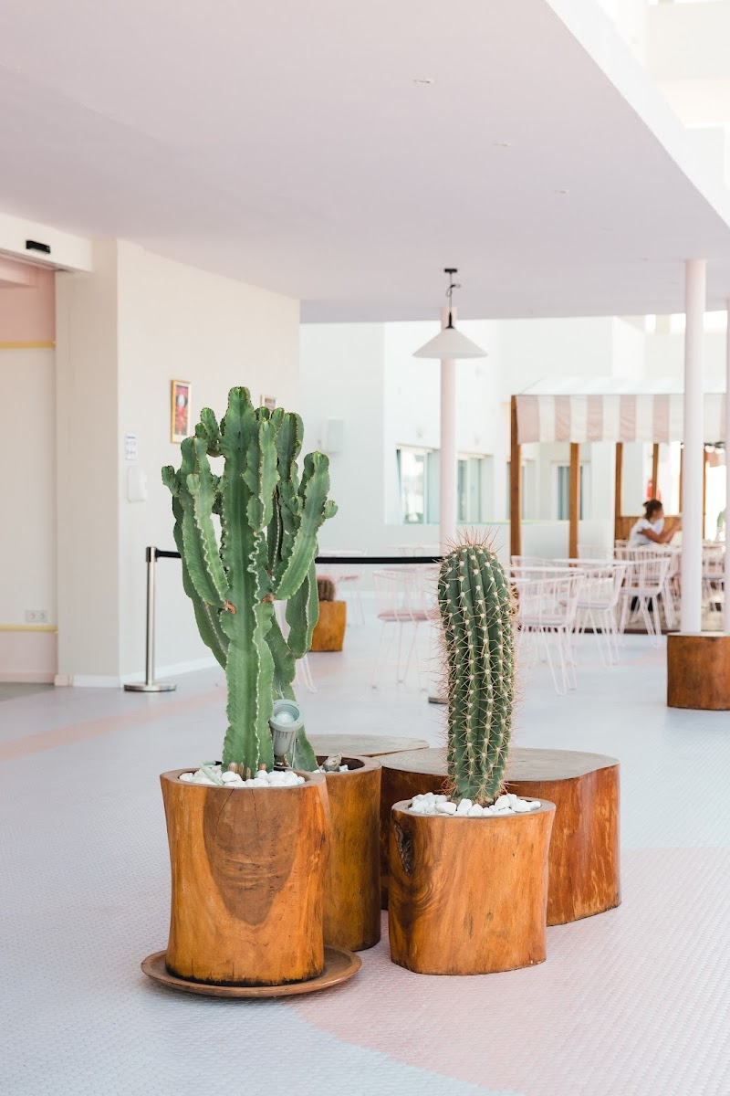 Paradiso Ibiza Art Hotel photo 8