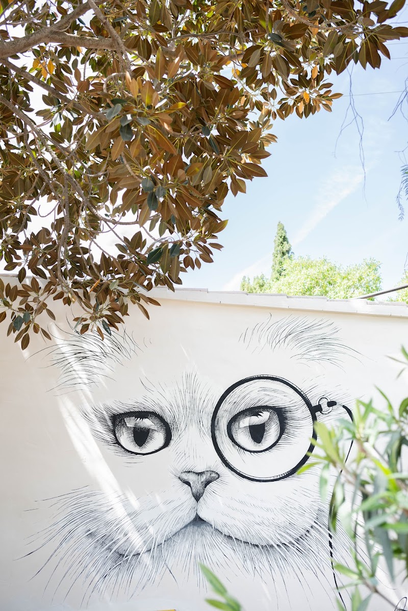 Pikes Ibiza photo 7