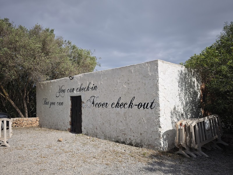 Pikes Ibiza photo 10