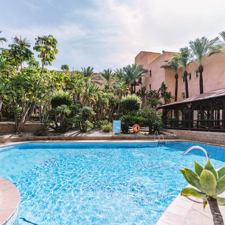 Playacalida Spa Hotel photo 10