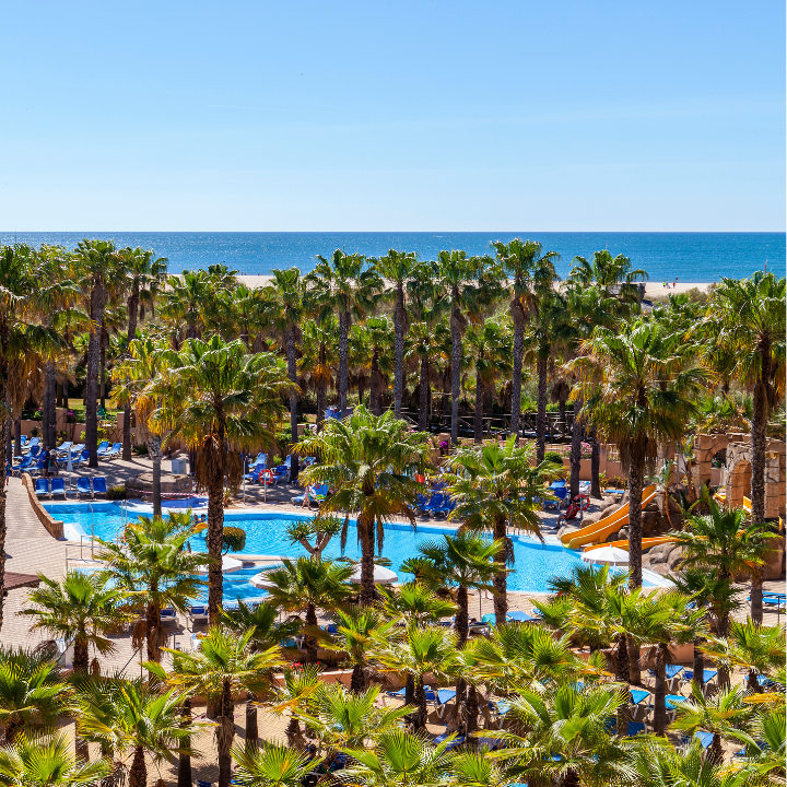 Playacanela Hotel photo 6