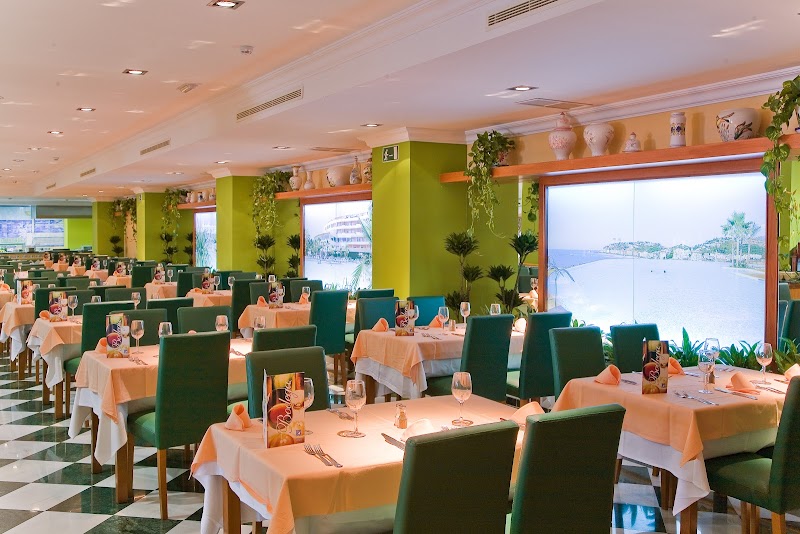 Playamarina Spa Hotel photo 10