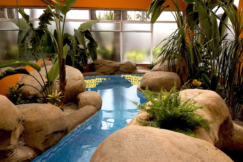 Playasol Spa Hotel photo 7