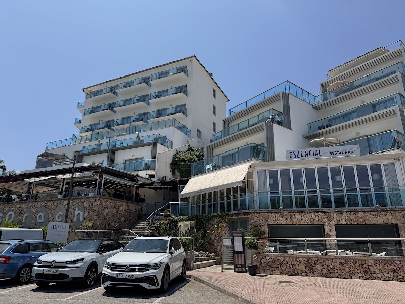 Porto Drach Aparthotel & Suites photo 10
