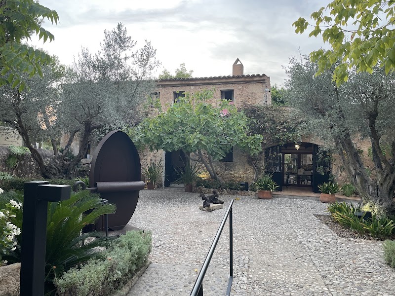 Protur Floriana Resort Aparthotel photo 4