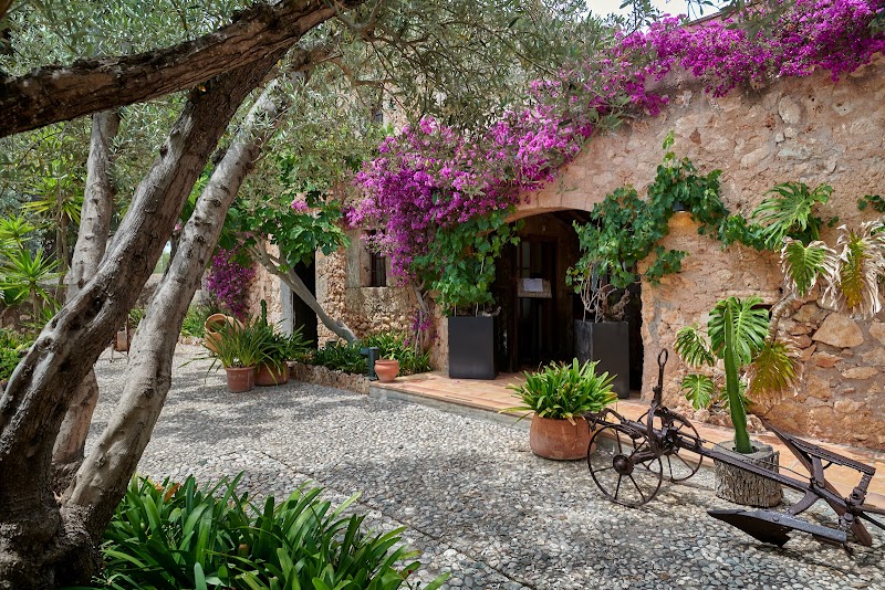 Residencia Son Floriana photo 9
