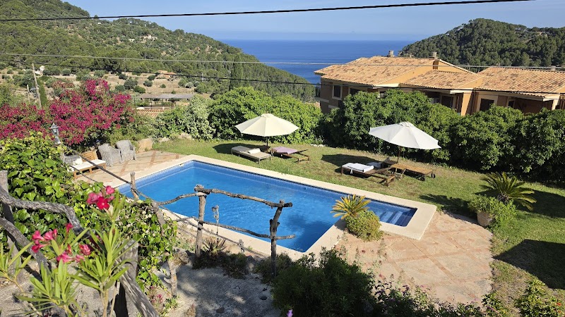 Sa Plana Hotel photo 3