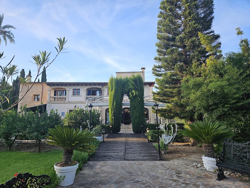 Sa Vinya des Convent Agroturismo photo 7