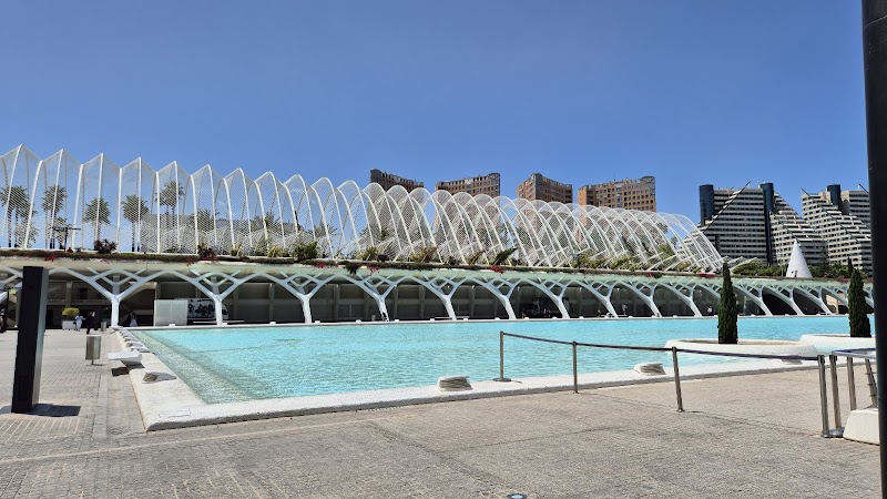 Senator Parque Central Hotel photo 3