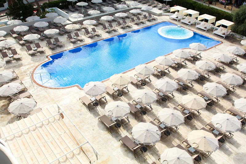 Sentido Fido Tucan photo 3
