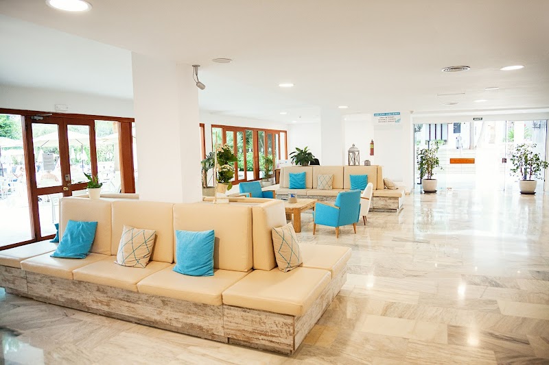 Sentido Fido Tucan photo 5