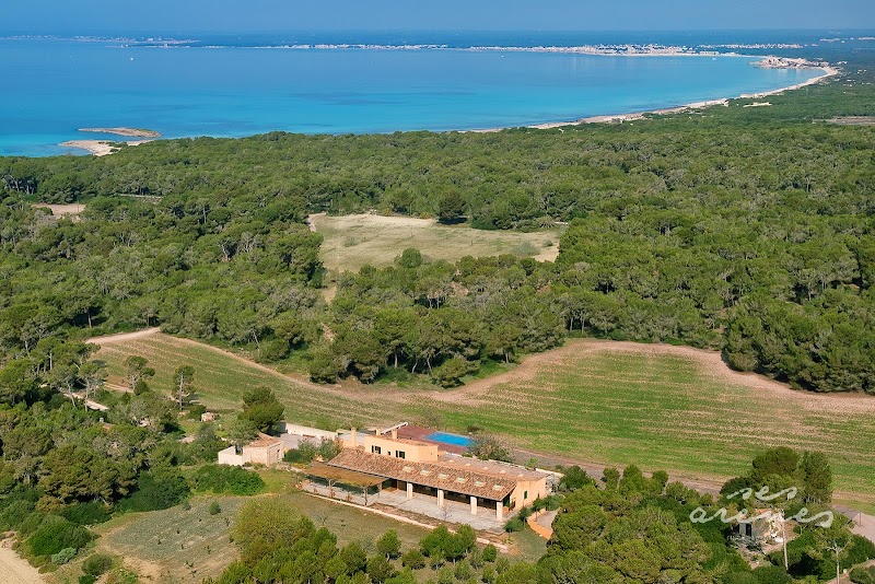 Ses Arenes photo 5
