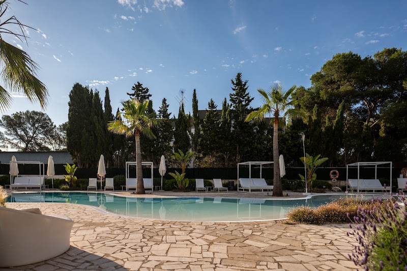 Sol I Vida Adults Only Hotel photo 9