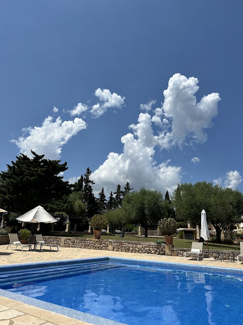 Son Cardaix photo 3