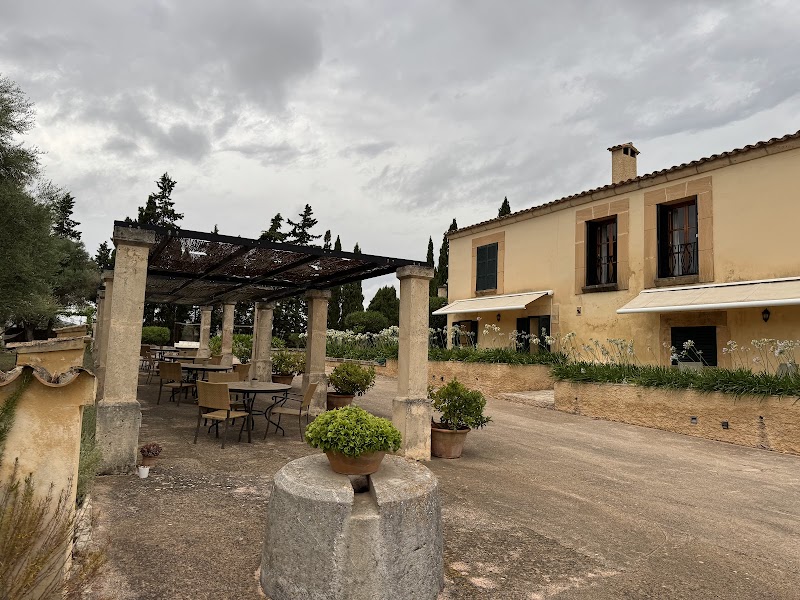 Son Cardaix photo 5
