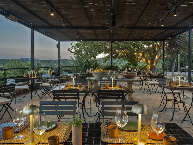 The Lodge Mallorca photo 6