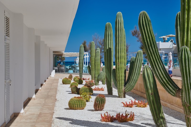 The Sea Hotel by Grupotel photo 6