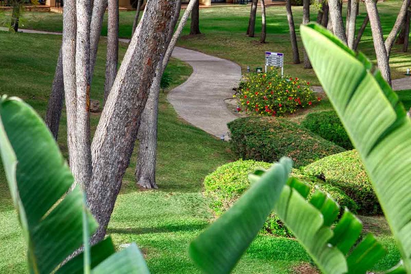 Vell Mari Hotel & Resort photo 8