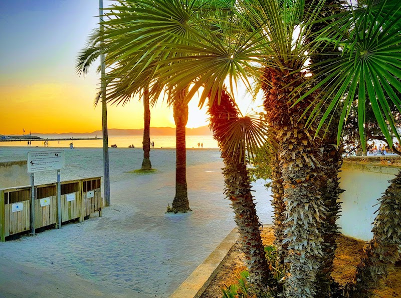 whala!beach photo 8
