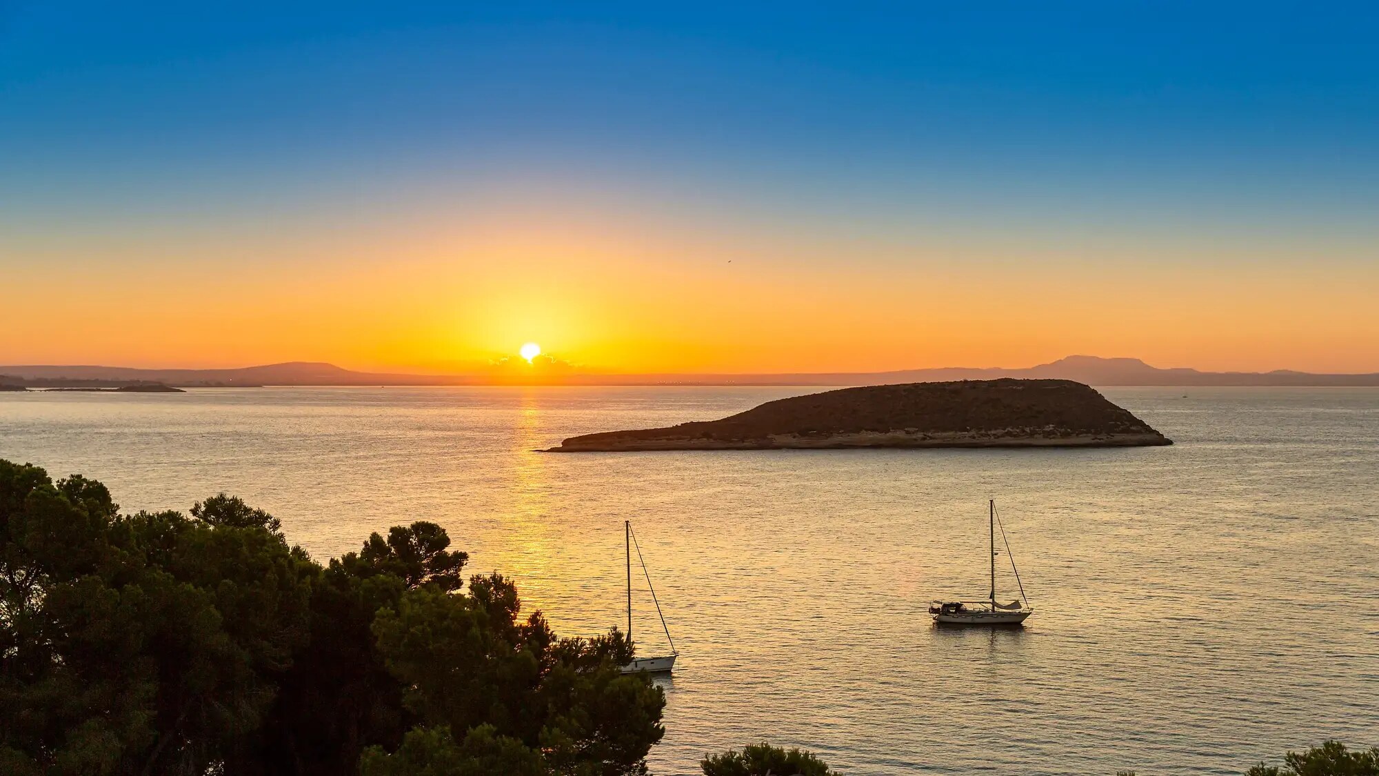 Alua Calvia Mallorca photo 6
