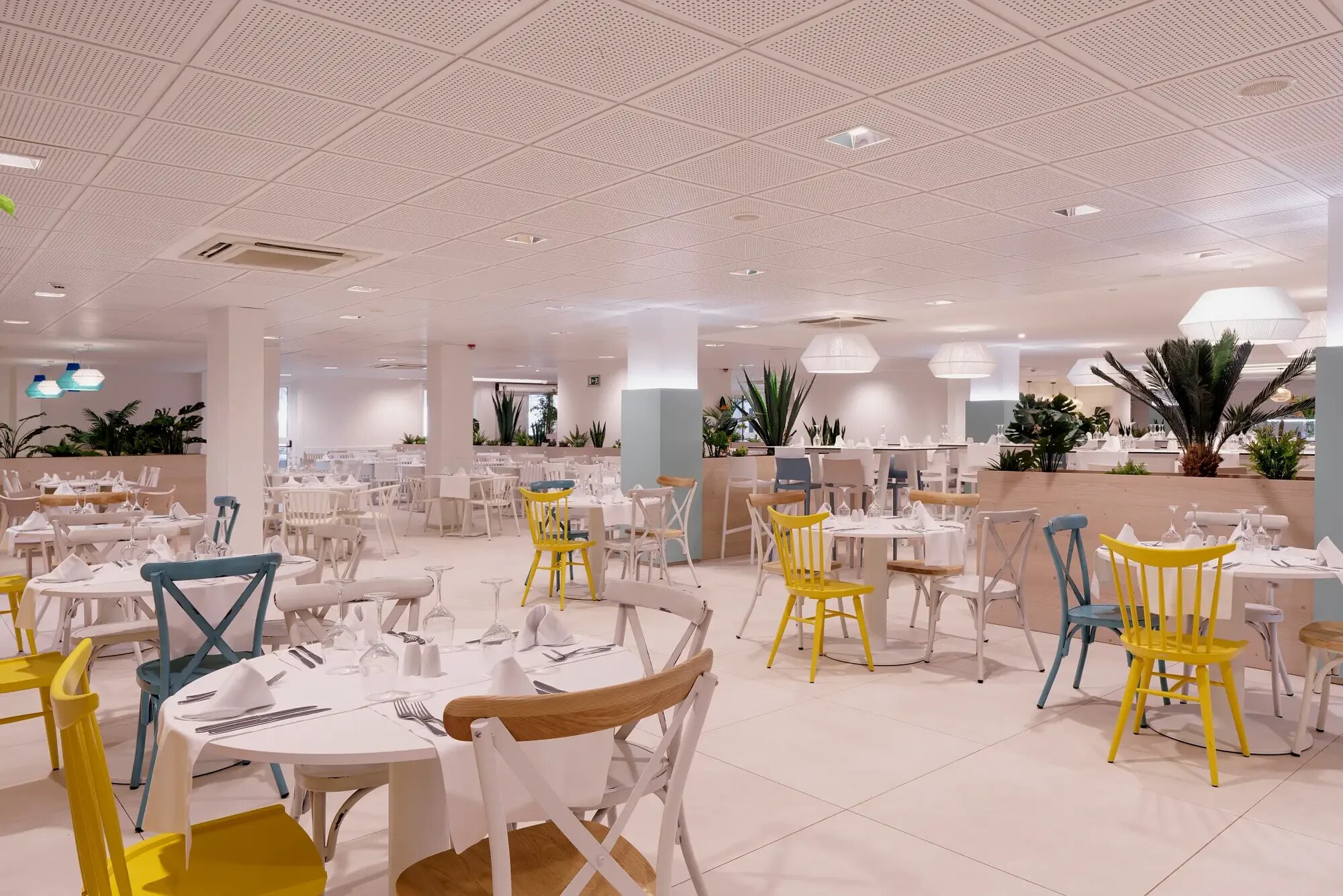 Alua Suites Fuerteventura photo 10