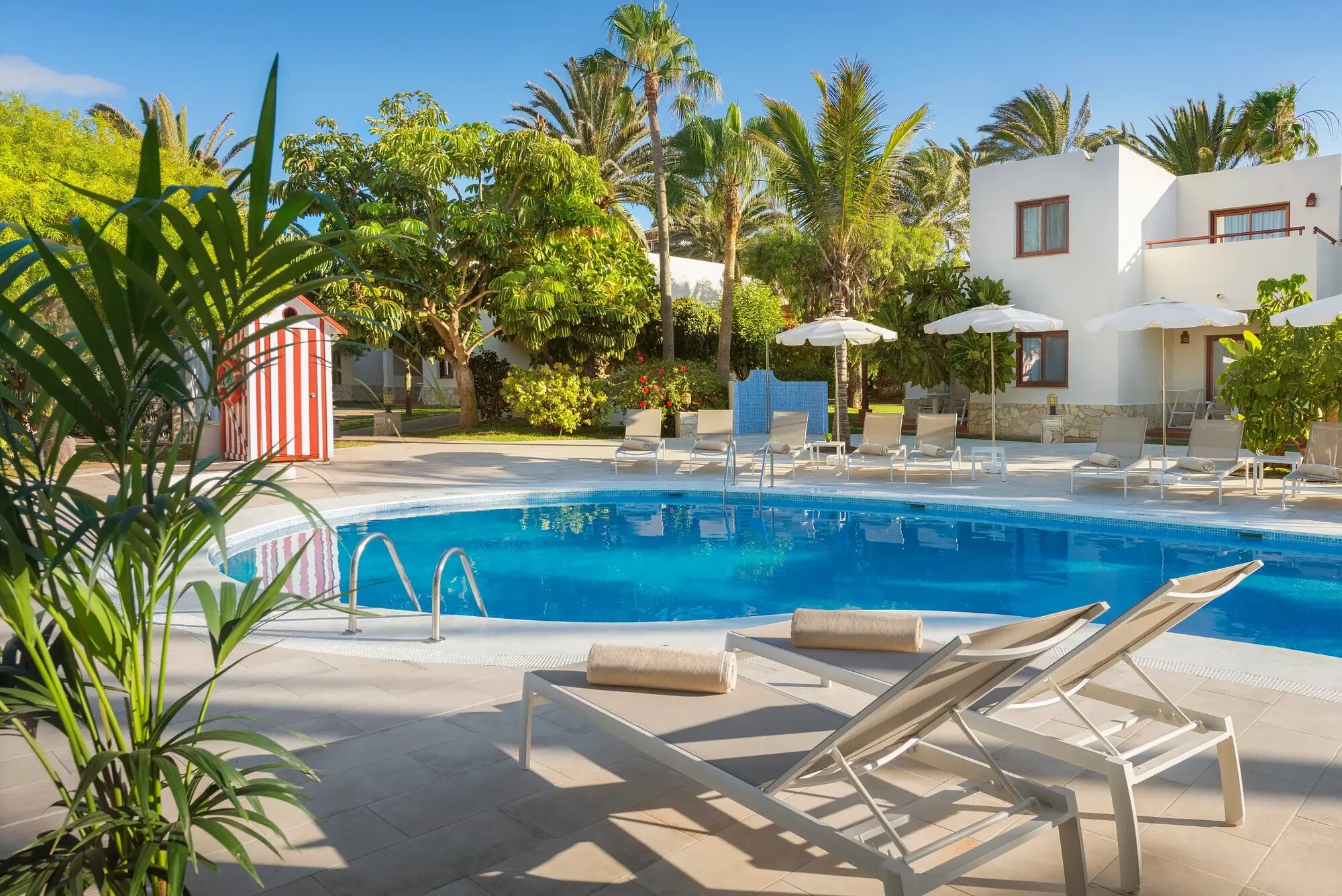 Alua Suites Fuerteventura photo 3