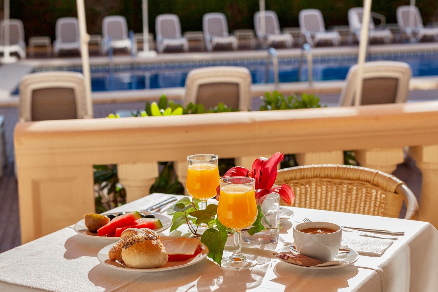 Amoros Hotel photo 6
