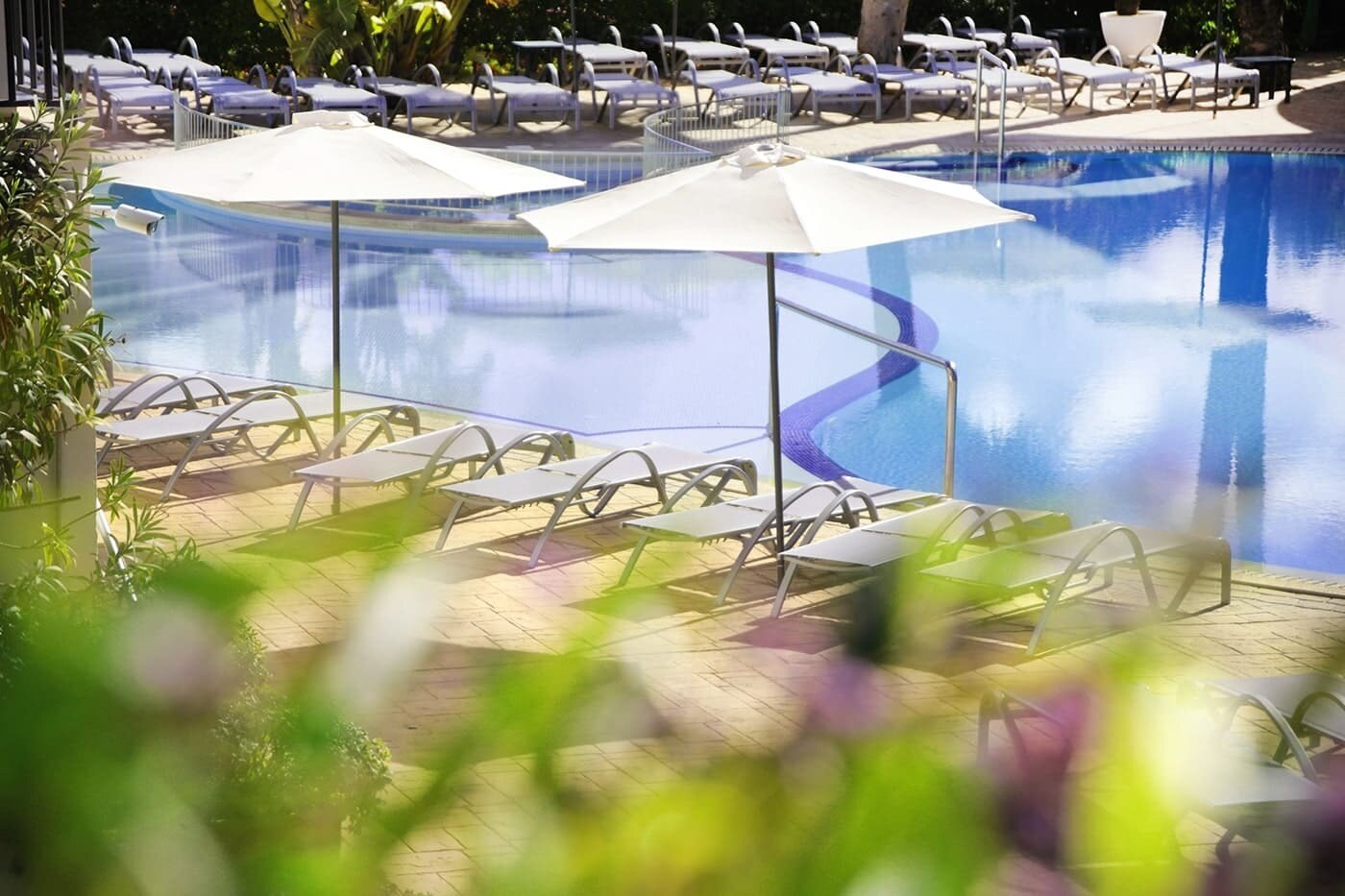 Aparthotel La Pergola photo 3