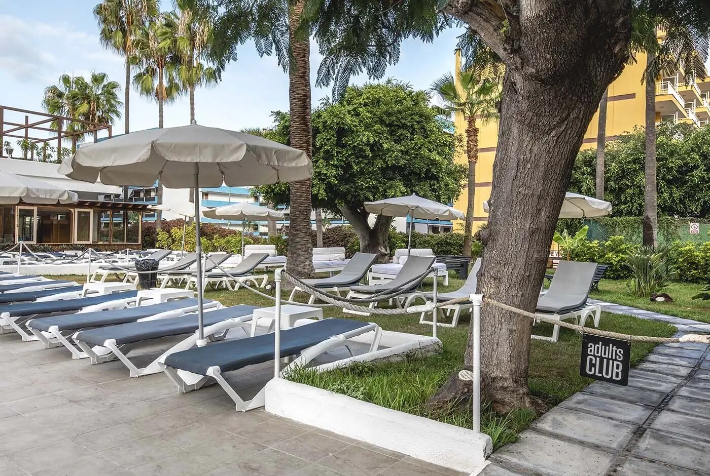 Be Live Adults Only Tenerife photo 4