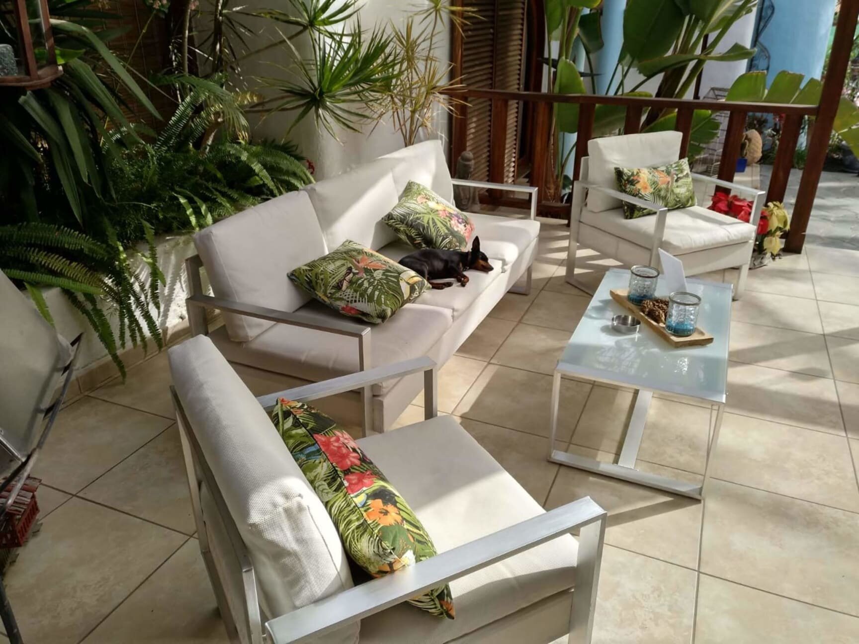 Birdcage Resort photo 7