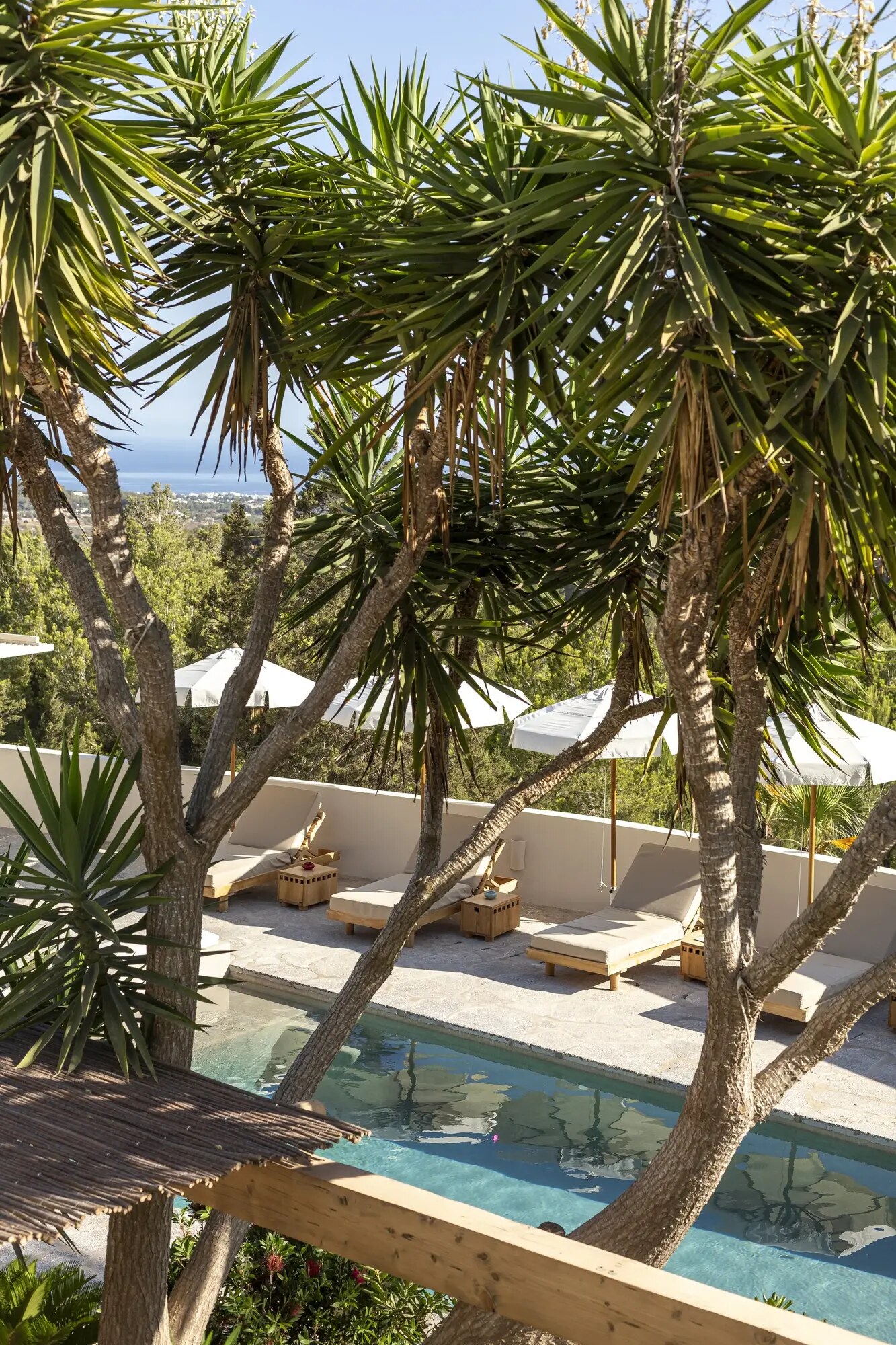 Boutique Hotel Los Jardines de Palerm photo 4