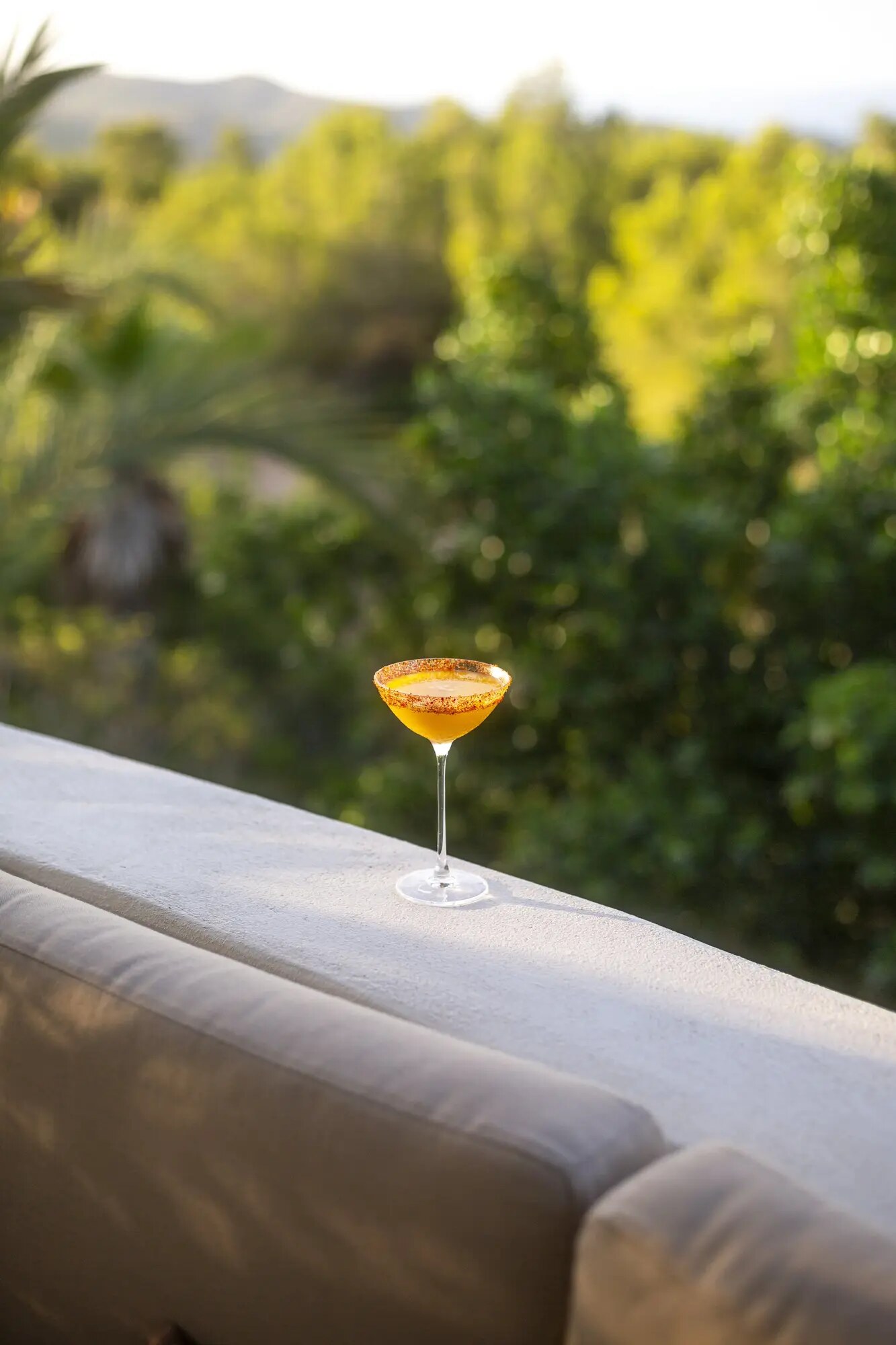 Boutique Hotel Los Jardines de Palerm photo 5