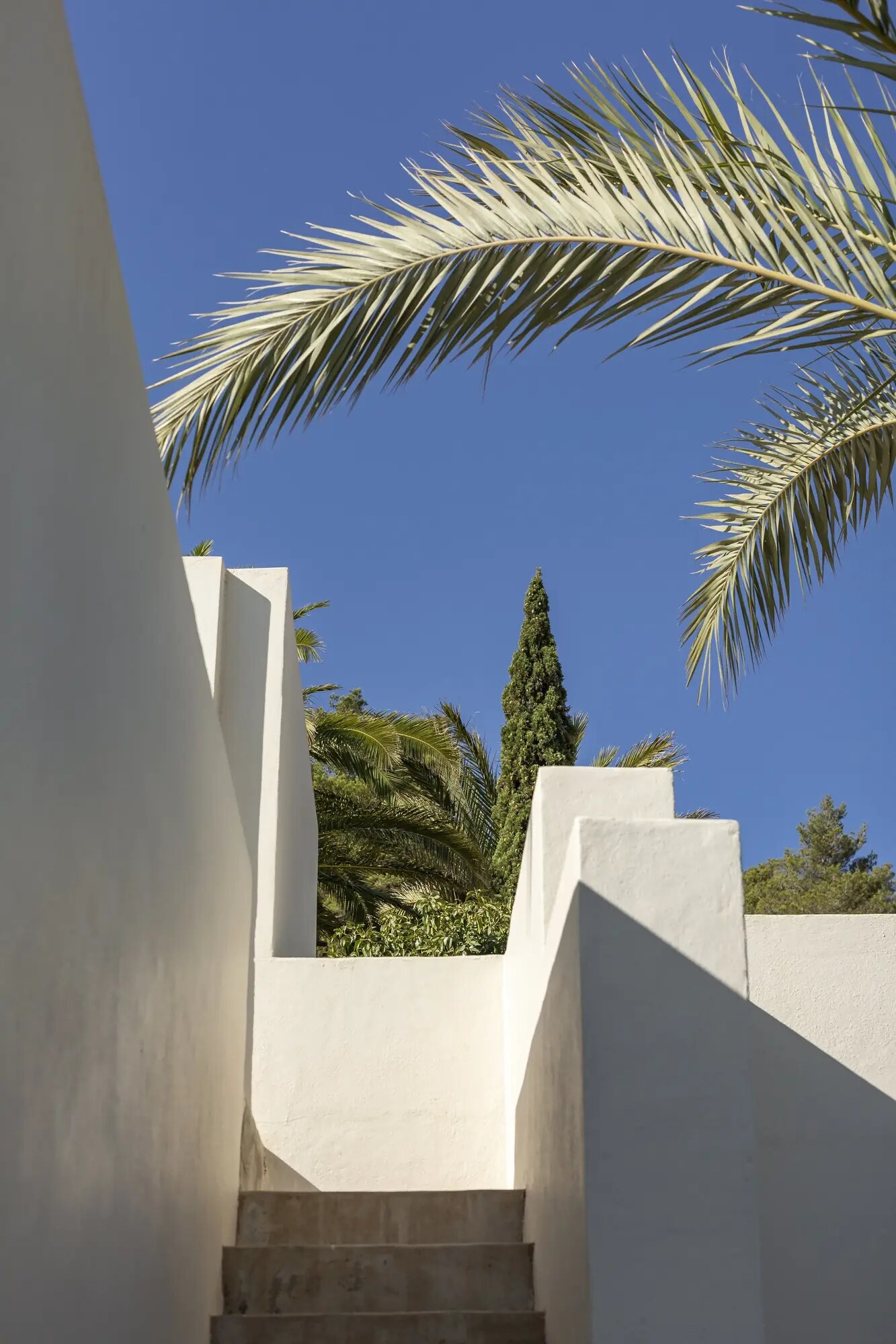 Boutique Hotel Los Jardines de Palerm photo 6