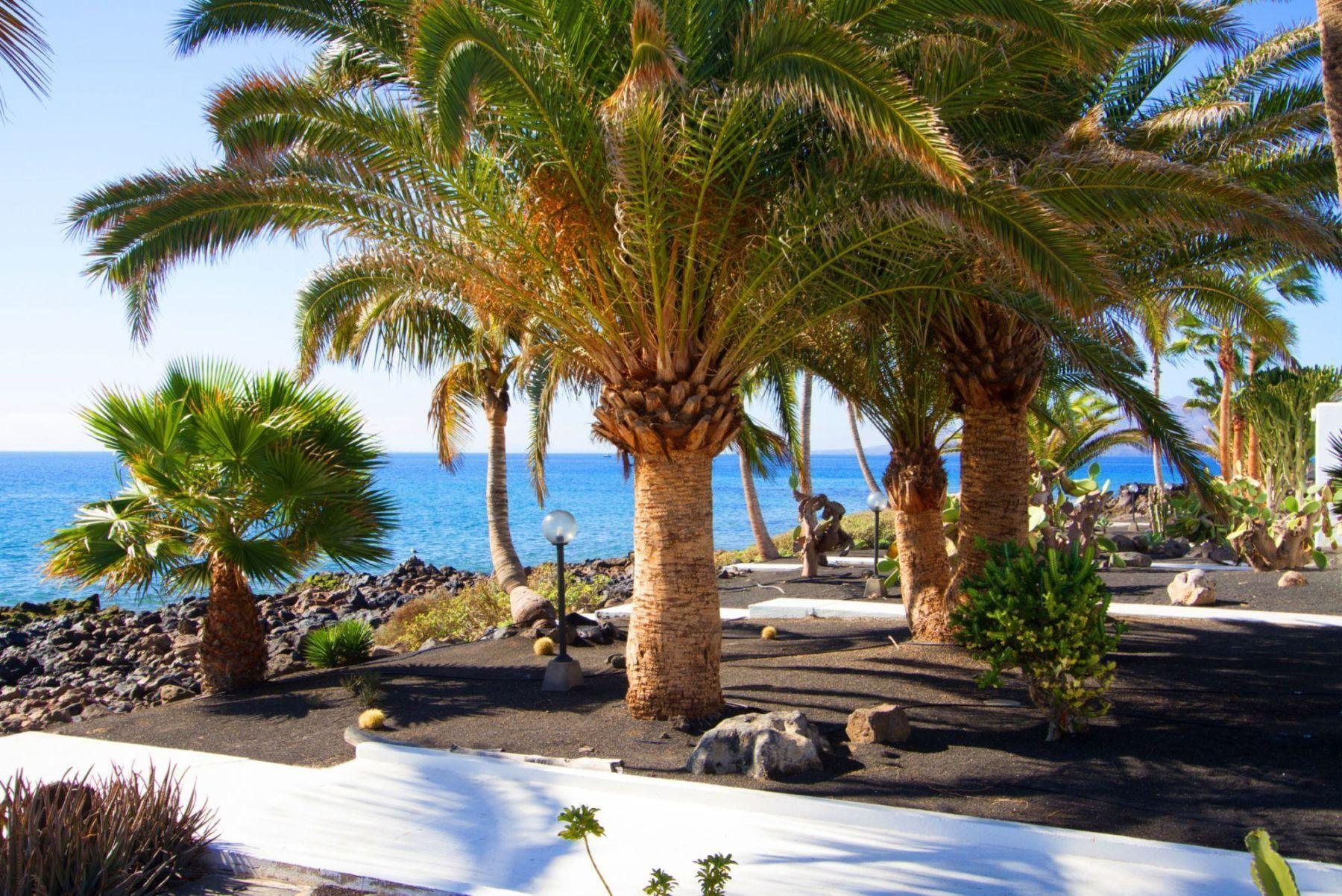 Bungalows Velazquez photo 3