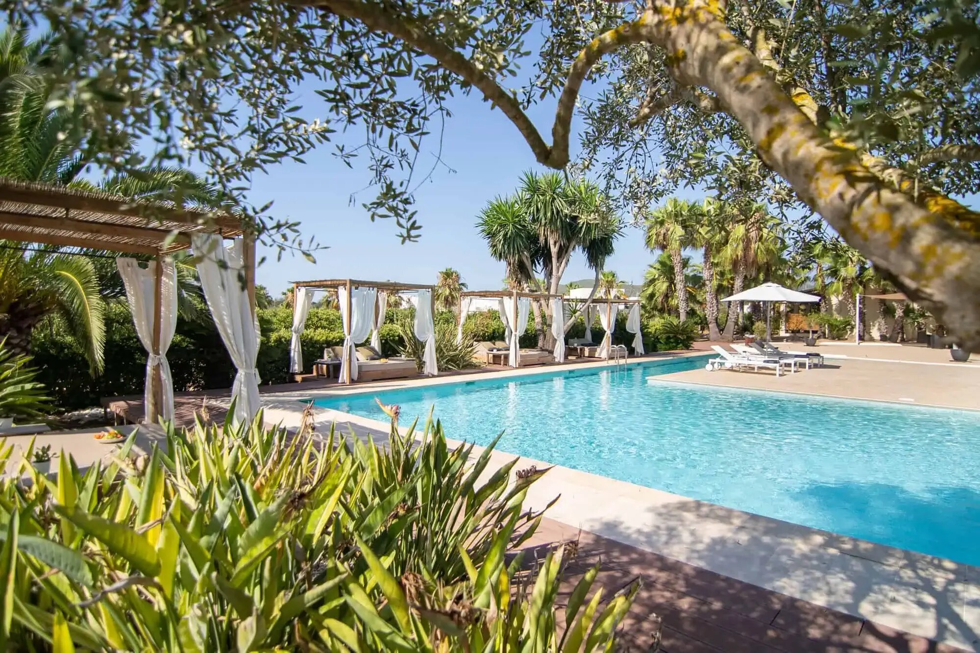 Can Jaume by Ocean Drive photo 1