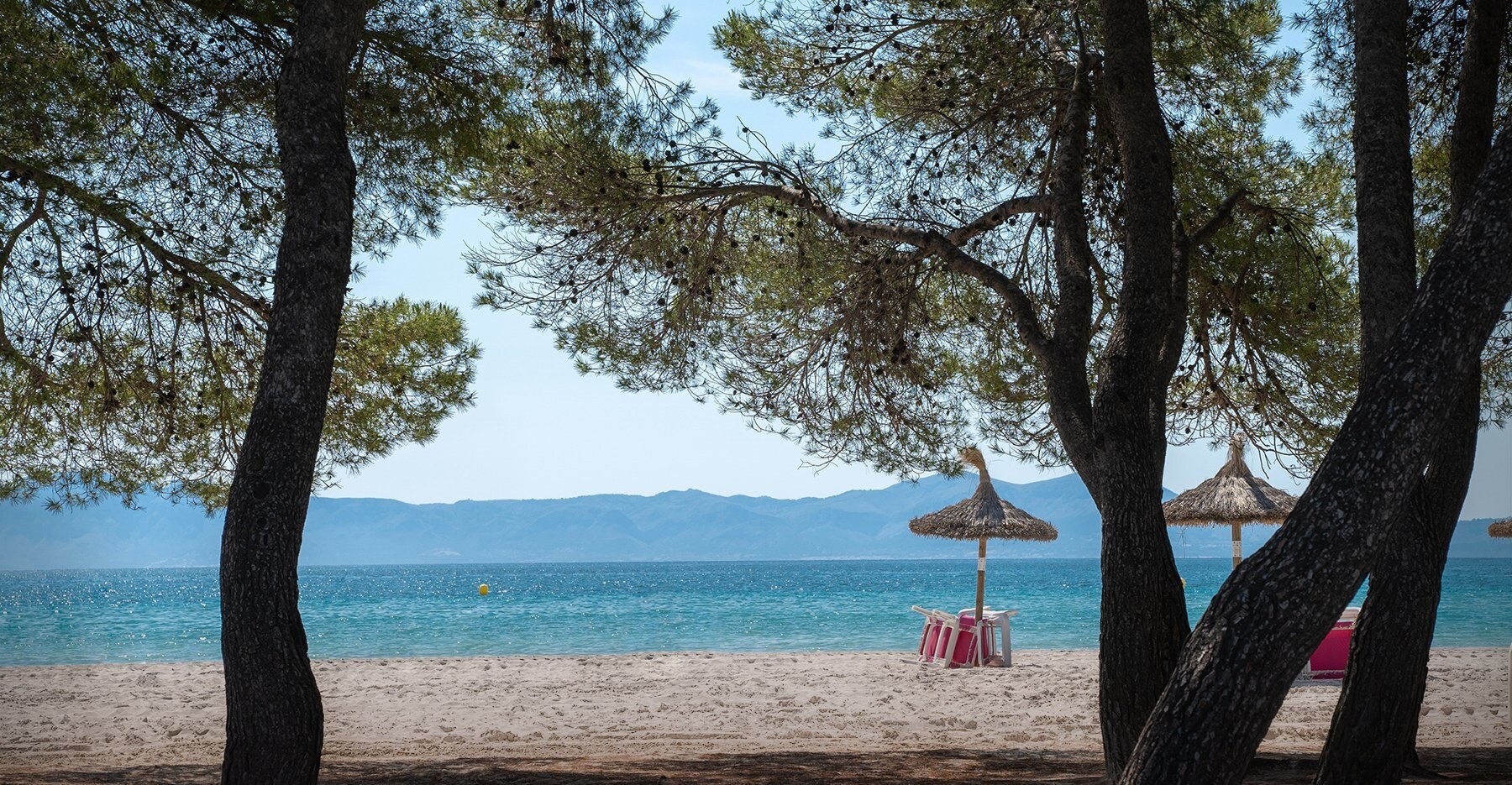 Caprice Playa de Alcudia photo 8