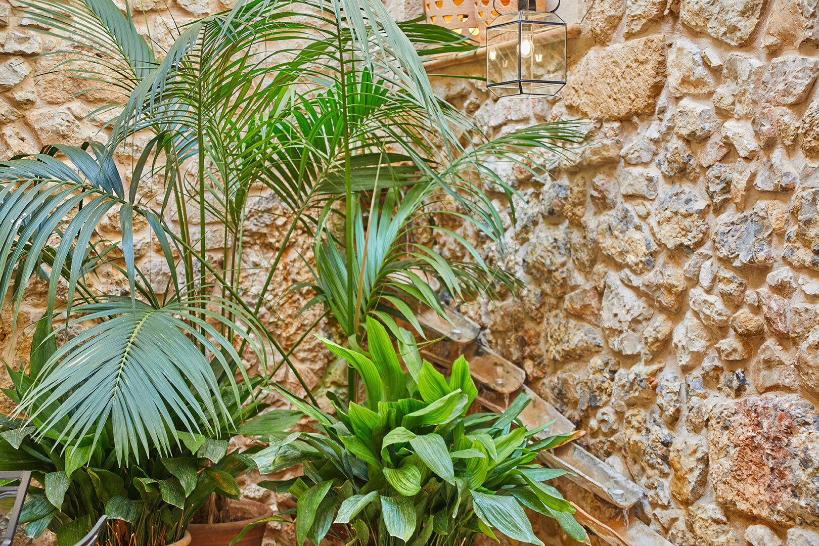 Cas Comte Suites & Spa photo 10