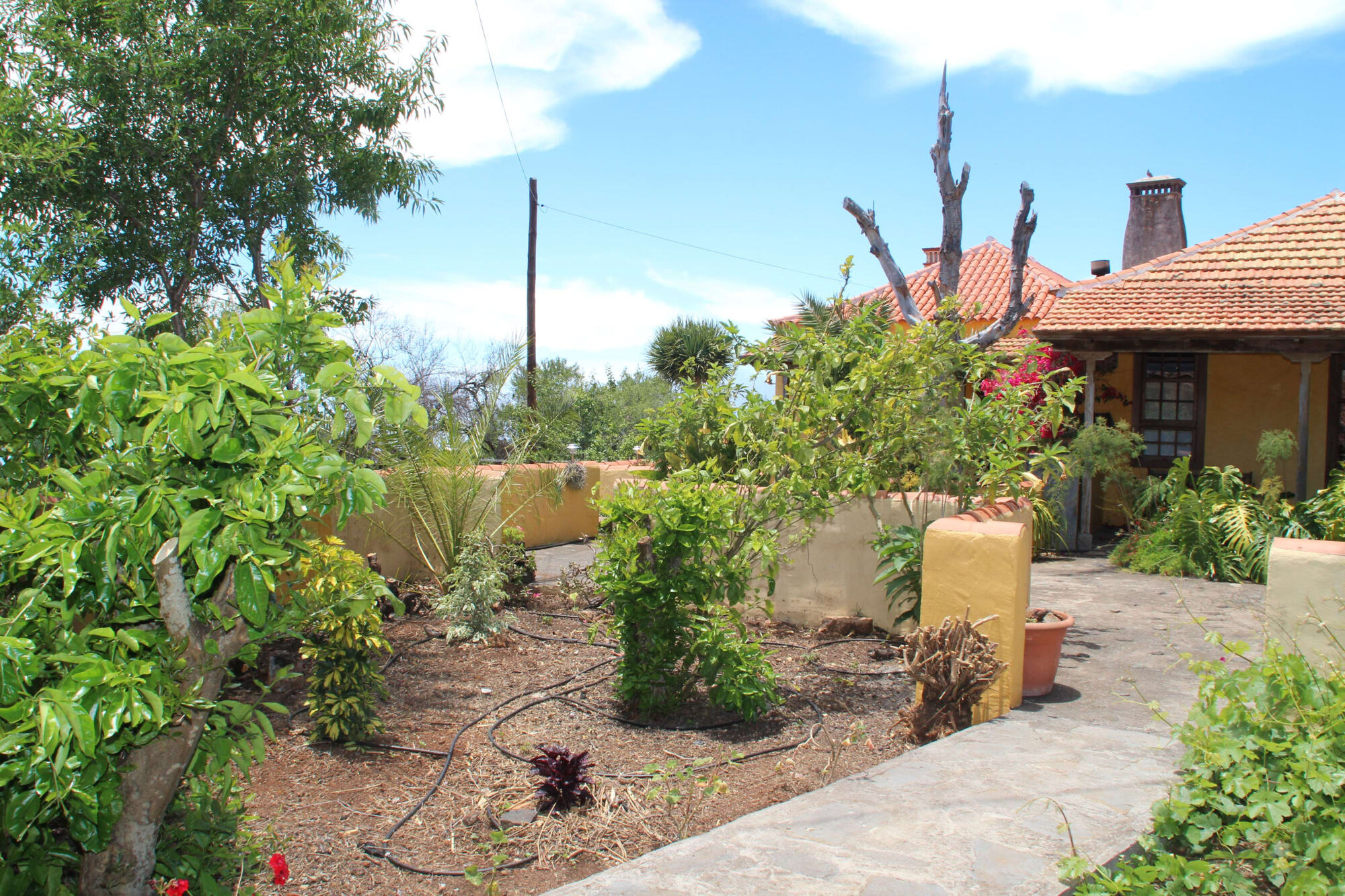 Casas Rurales Los Marantes photo 8