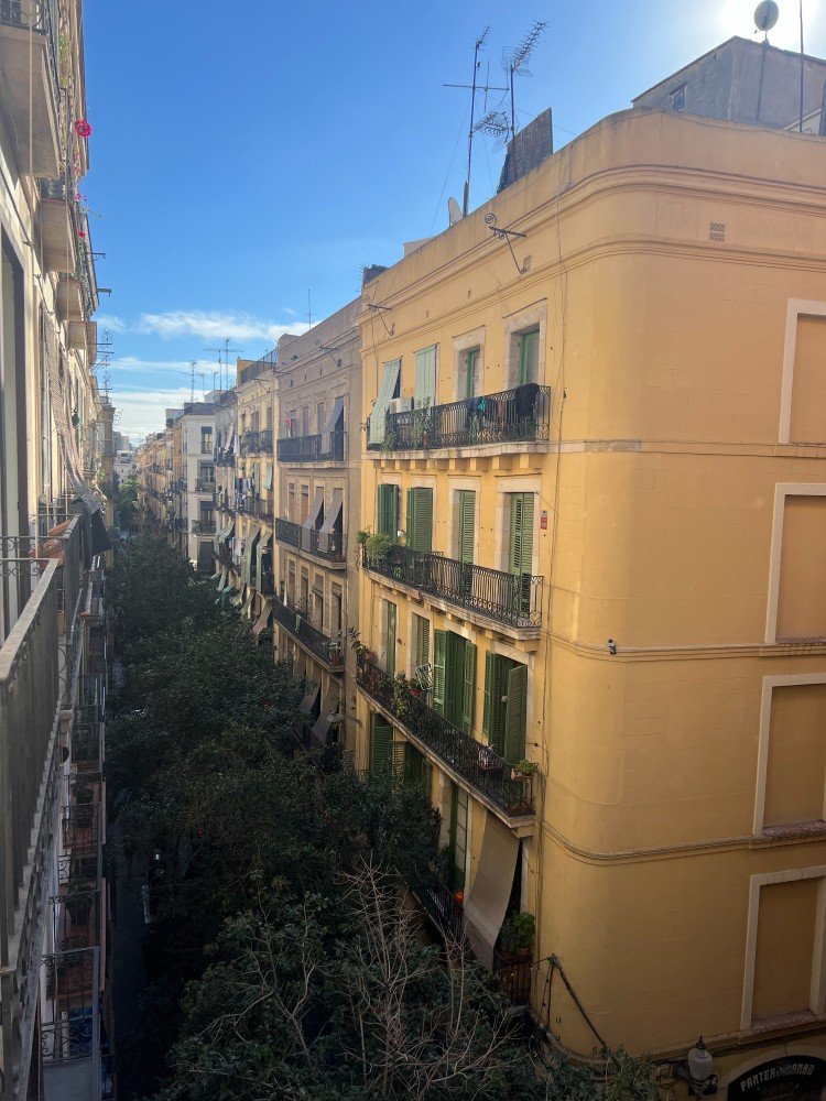 Central & Basic Universitat photo 6